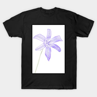 Ixiolirion tataricum  Siberian lily Photograph with artistic filter applied T-Shirt